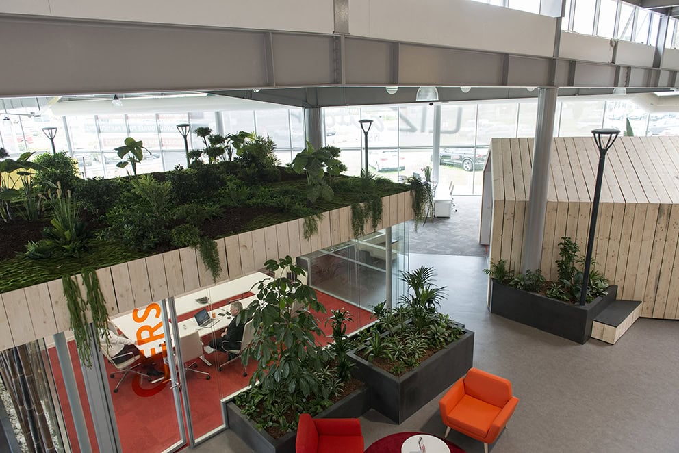 cabane en bois et petit coin de végétation