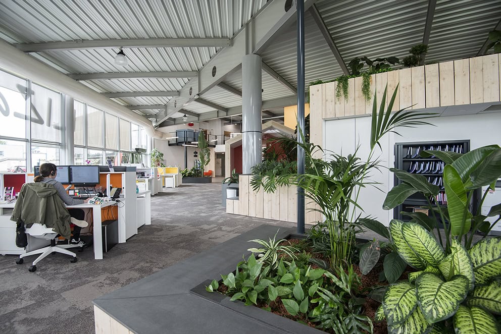 open space et petit coin de végétation