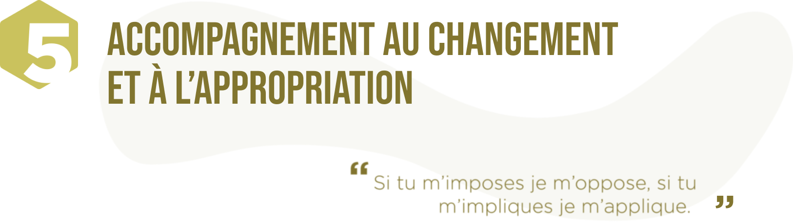 Accompagnement au changement et à l'appropriation (Si tu m'imposes je m'oppose, si tu m'impliques je m'applique)